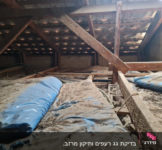 קורות עץ וגג רעפים בעליית גג מאובקת